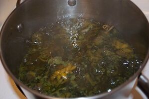 лечение на разширени вени с отвари